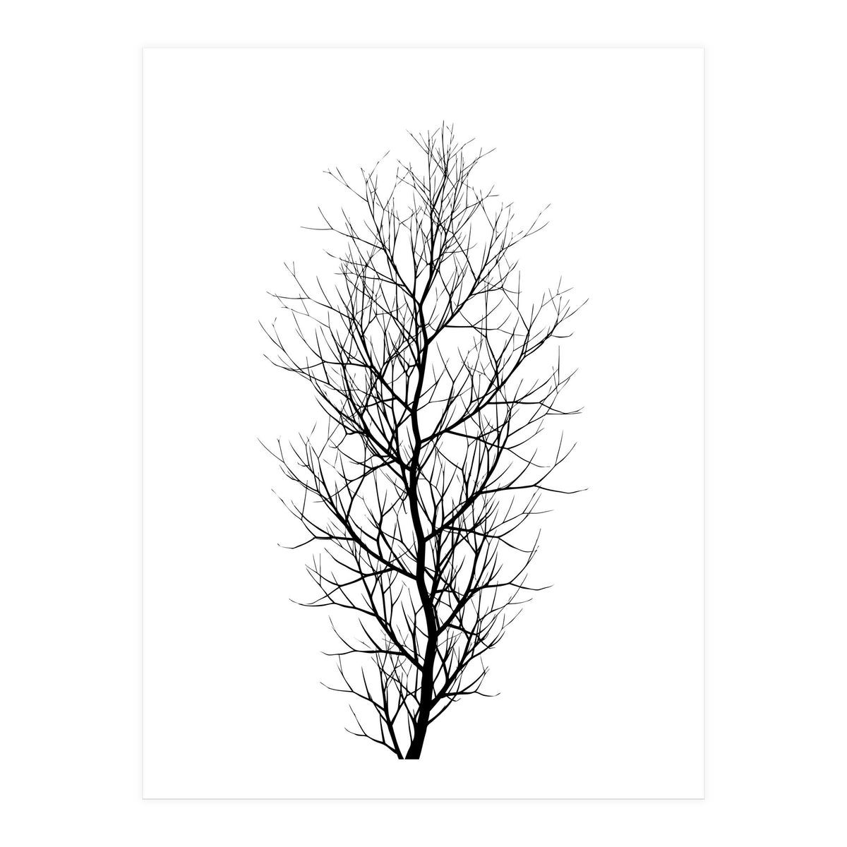 The Tree Black (Print Only)