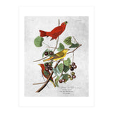 uccelli (Print Only) thumbnail