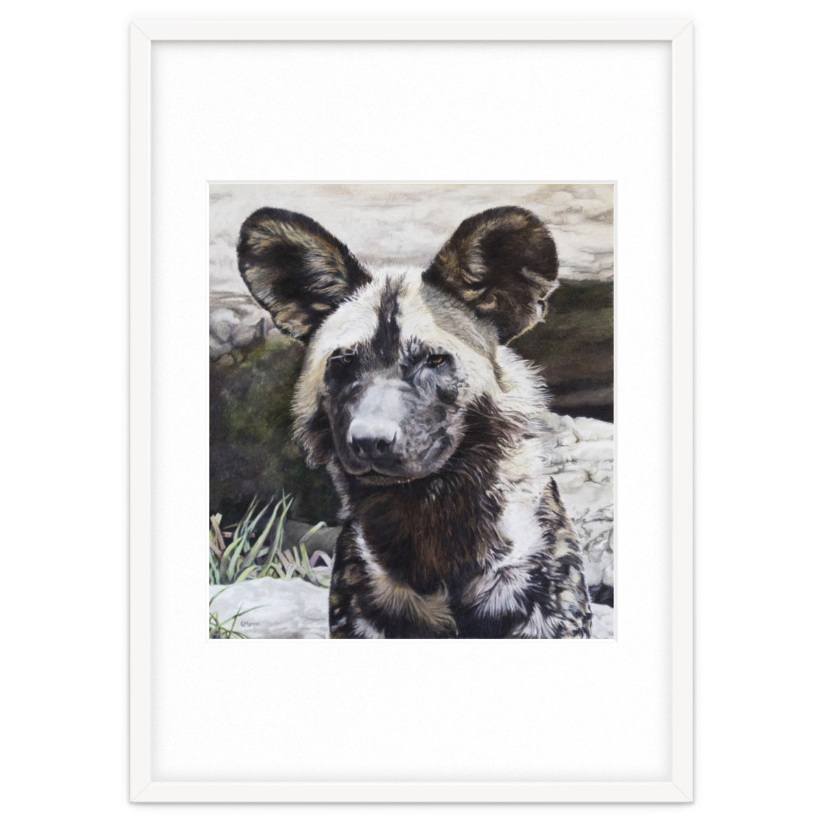 African Painted Dog II