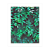 Greener (Print Only) thumbnail