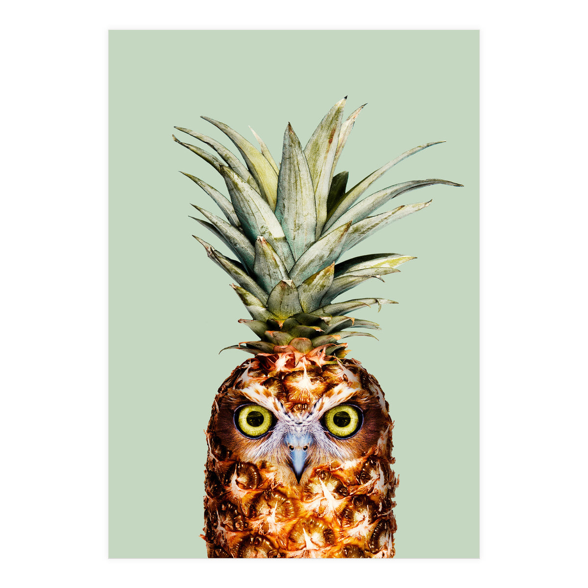 Pineapple Owl (Print Only)