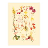 Orchids #3 (Print Only) thumbnail