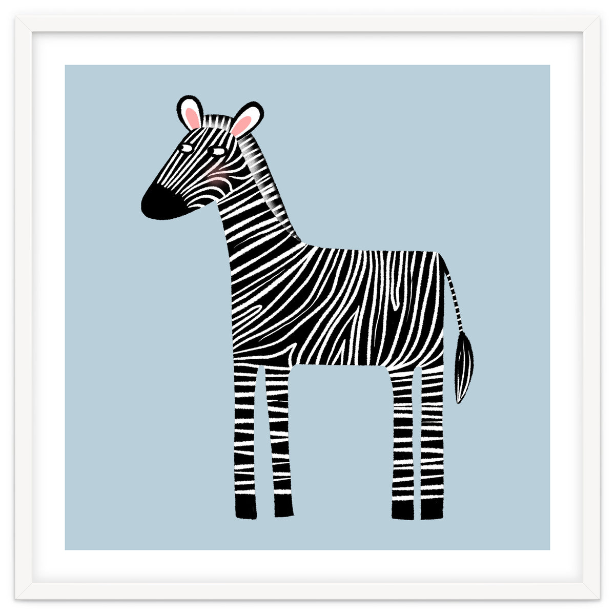 Zebra