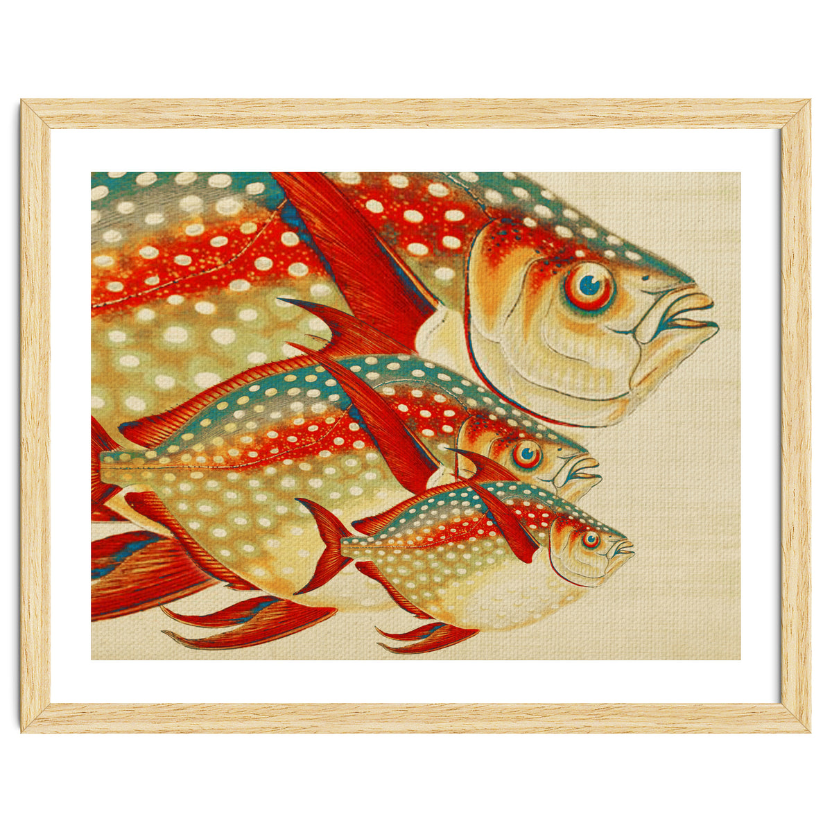 Fish Classic Designs 1