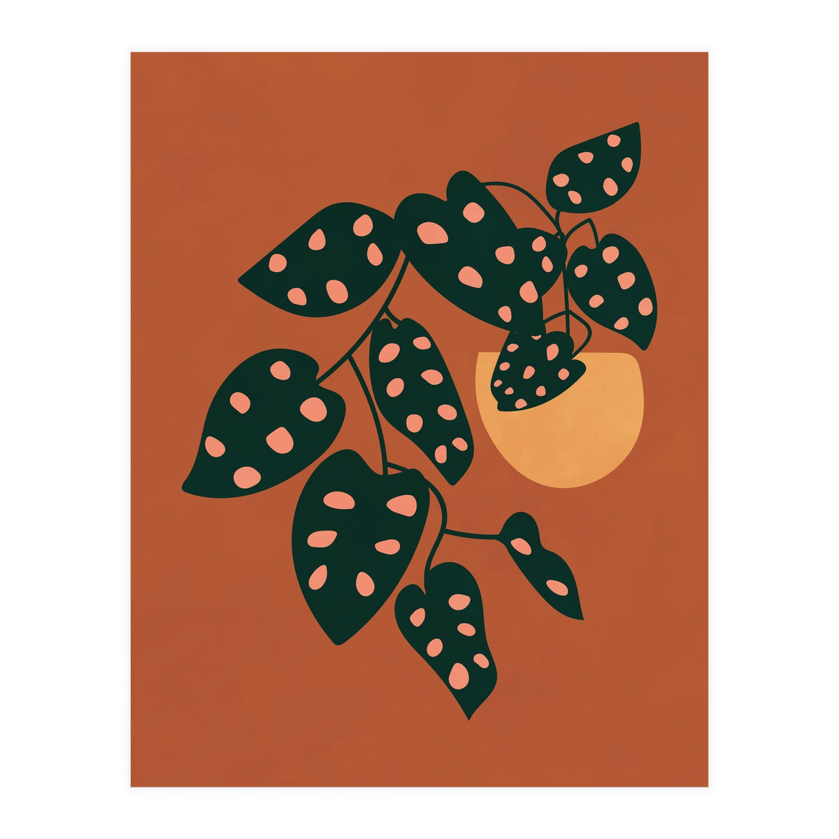 Monstera Adansonii (Print Only)