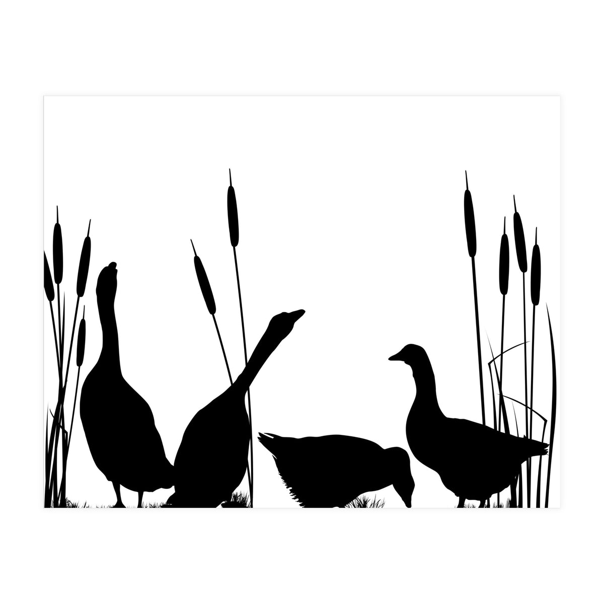 Goose talk too (Print Only)