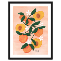 Summer Peaches