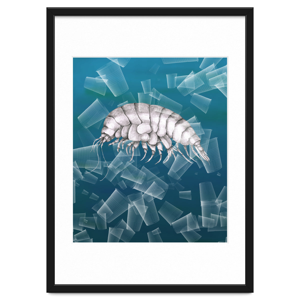 Eurythenes Plasticus