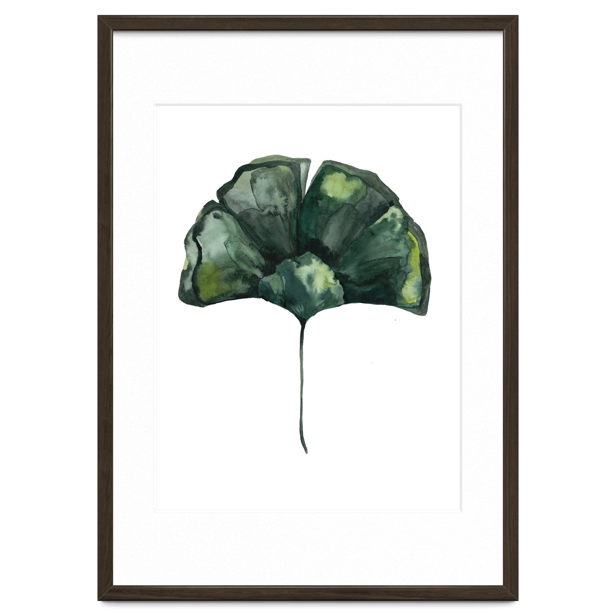 Botanical Illustration Ginko