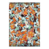 Little Falling Embers (Print Only) thumbnail