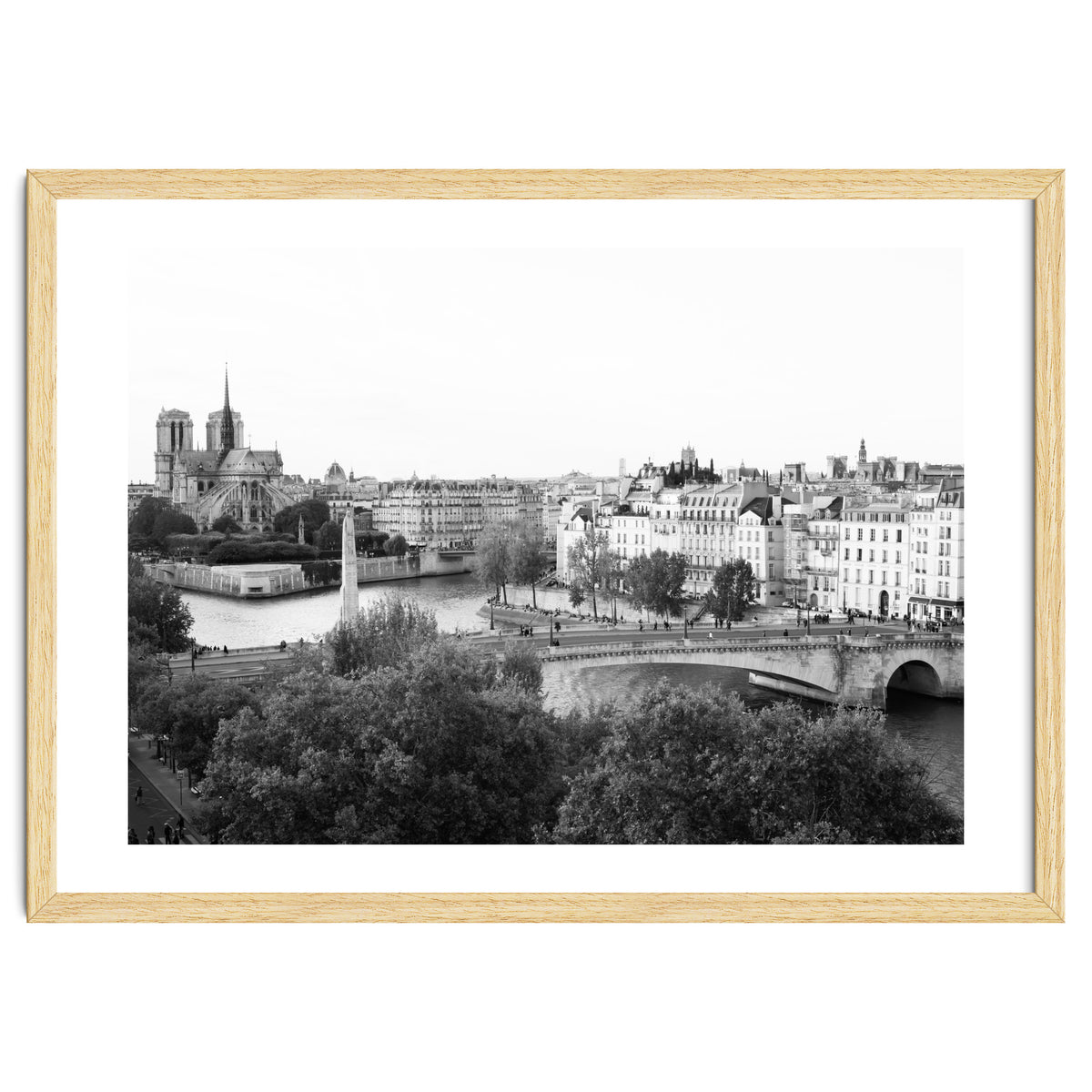 Paris View in Black and White