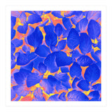 Supercontrast (Print Only) thumbnail