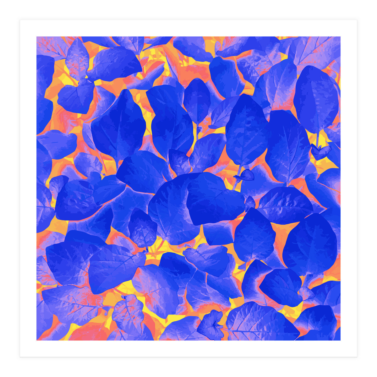 Supercontrast (Print Only)