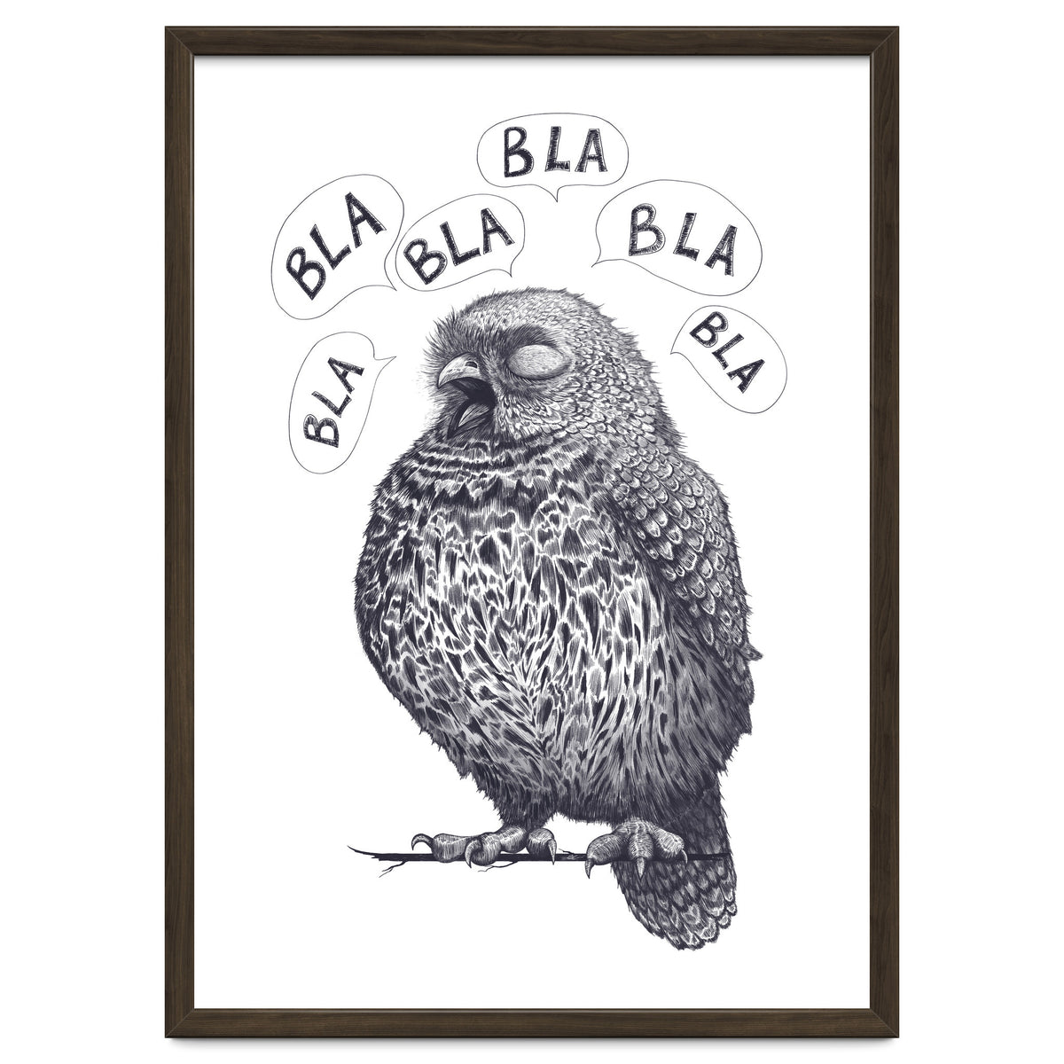 Owl Bla Bla Bla
