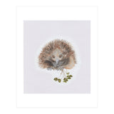 Echidna - Australian Animal Series (Print Only) thumbnail
