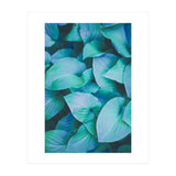 Leaf Me Alone (Print Only) thumbnail