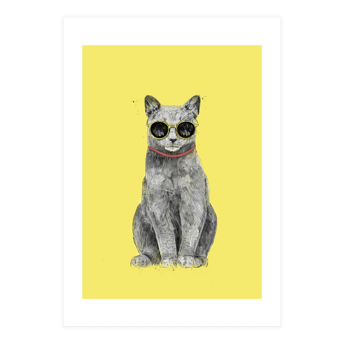 Summer Cat (Print Only)