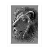 Sketch Lion (Print Only) thumbnail