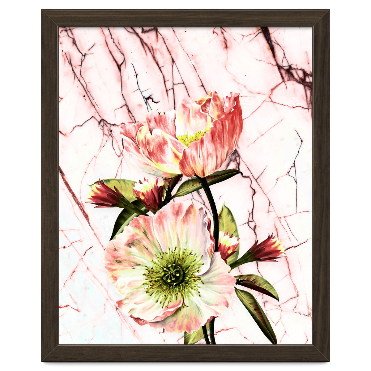 Flowering on pink marble