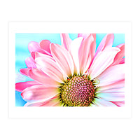 PInk Dahlia (Print Only)