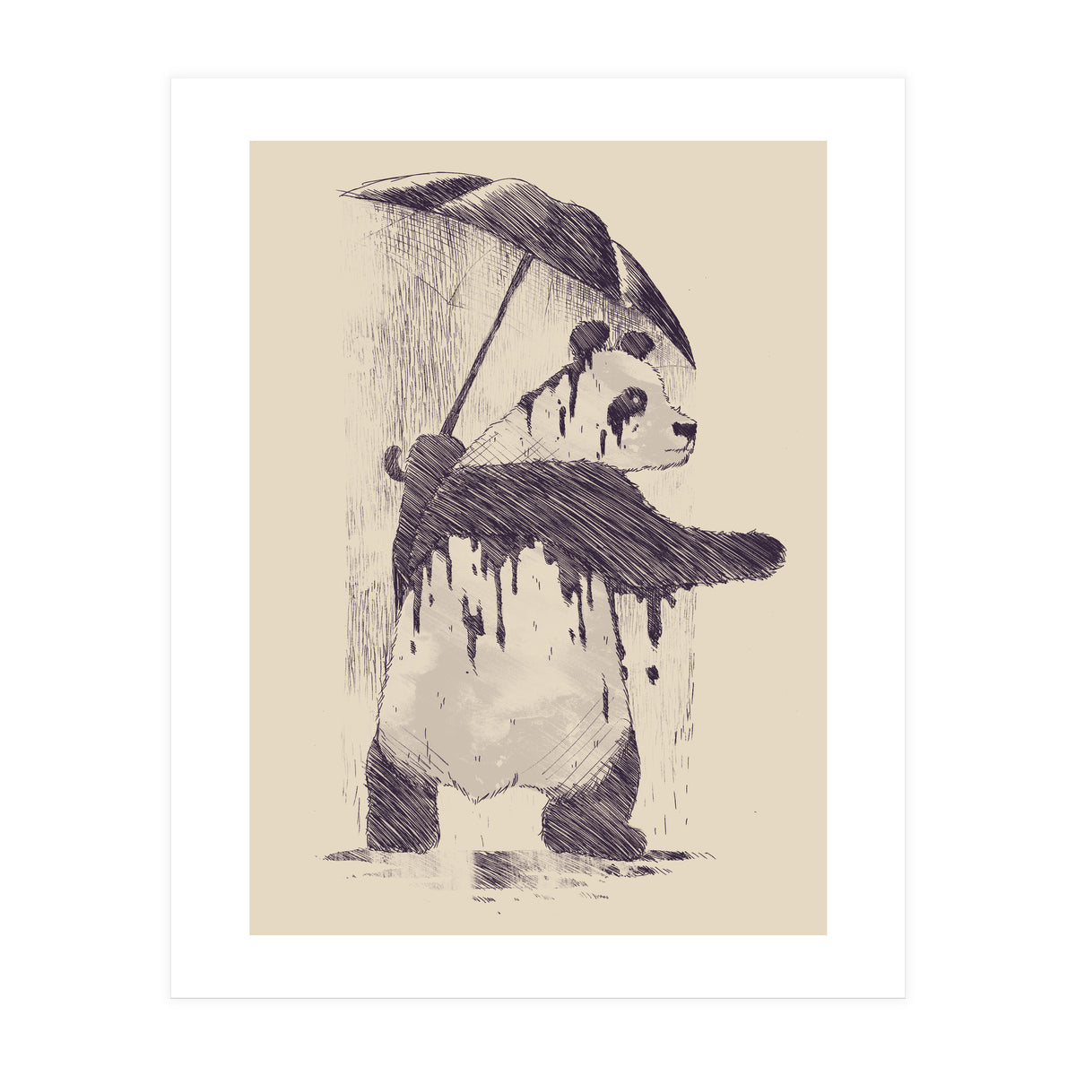Fading (Print Only)
