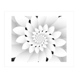 Monochrome Floral Design  (Print Only) thumbnail