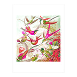Haven (Print Only) thumbnail