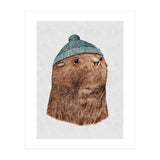 The Fur Seal (Print Only) thumbnail