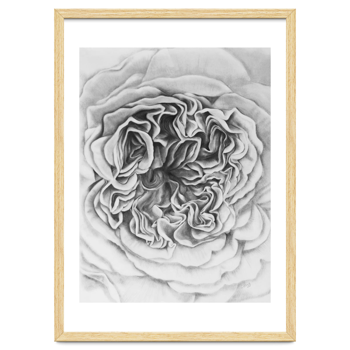 A Rose in Monochrome