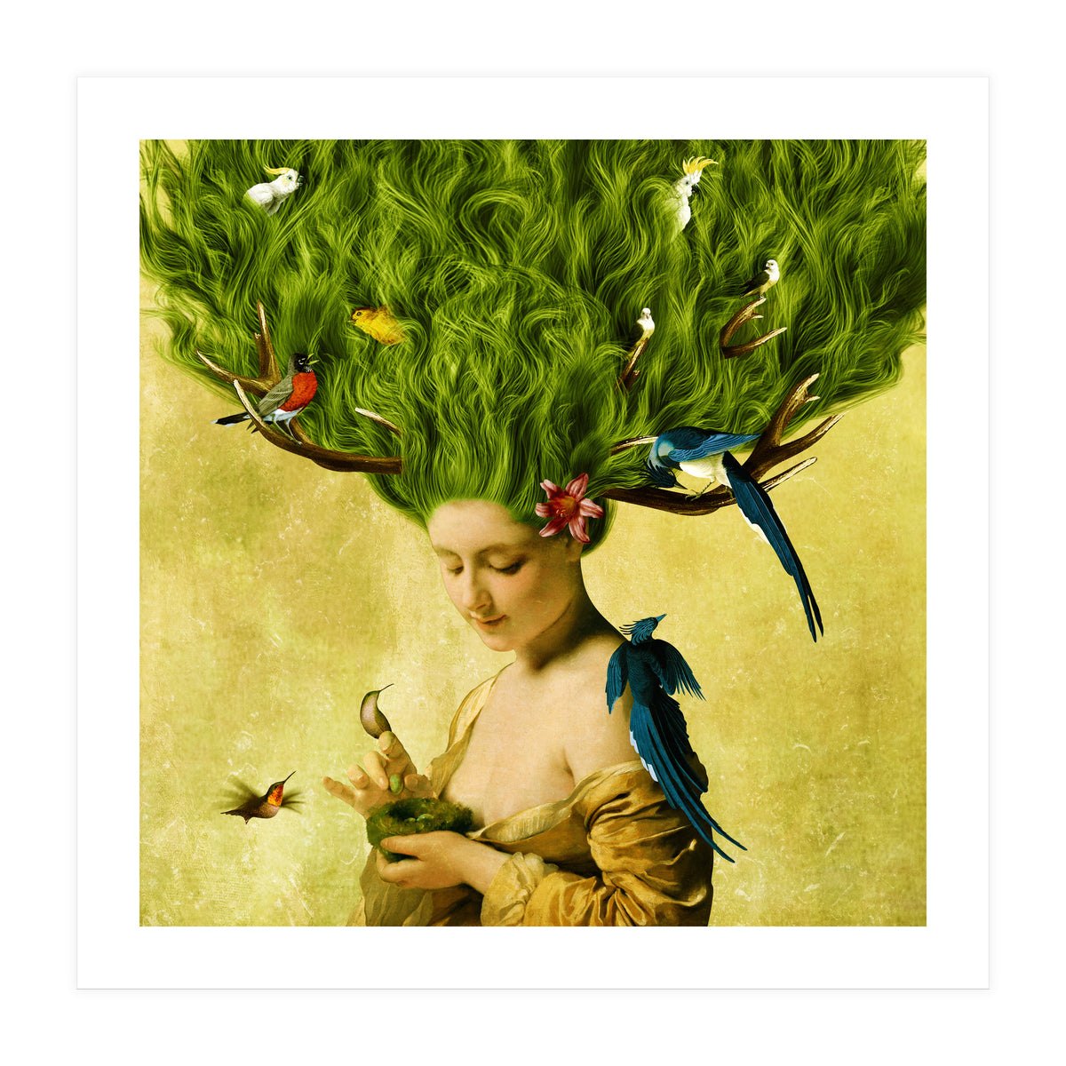 Safe Haven (Print Only)