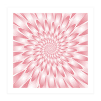 Spiral Pink Flower  (Print Only)