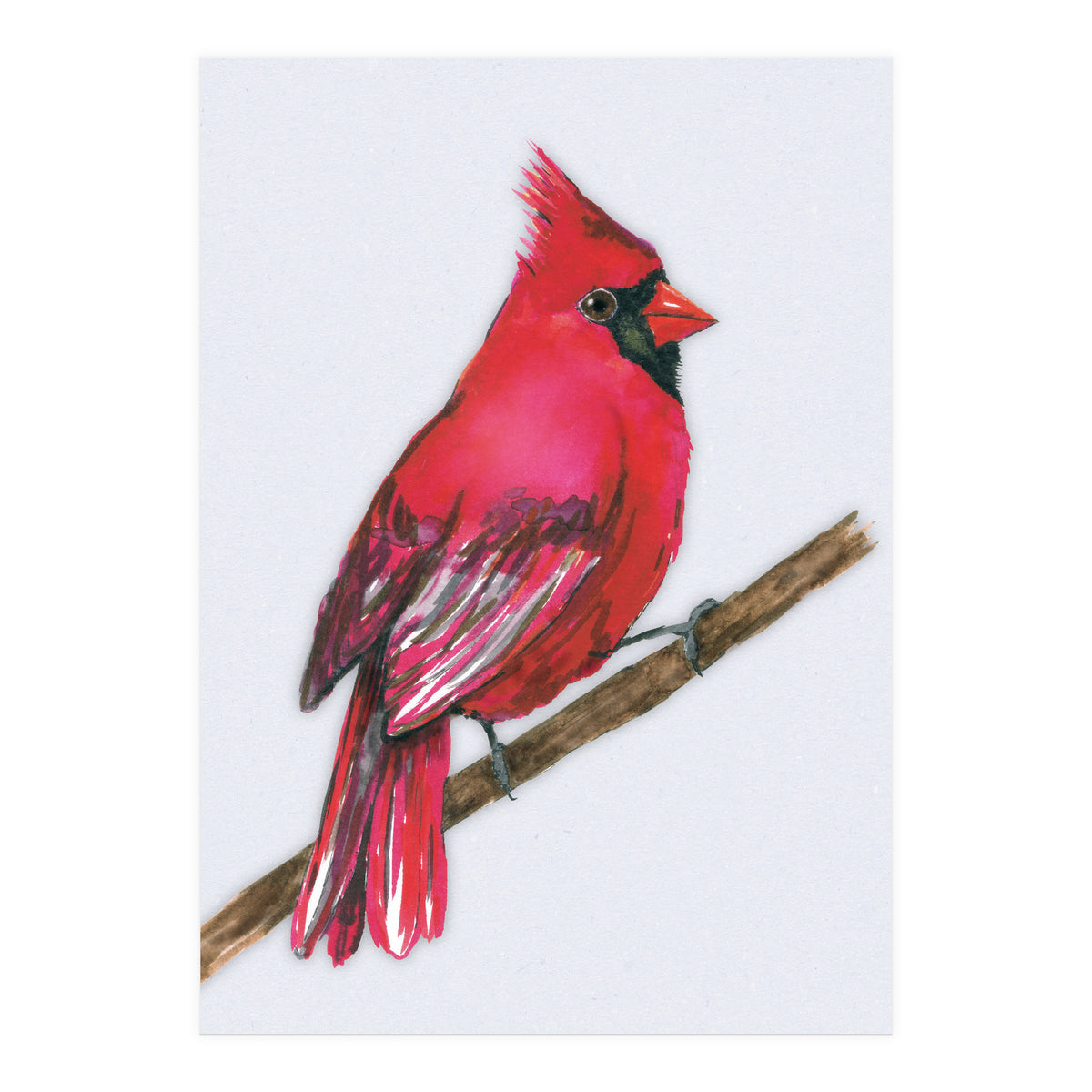A Northern cardinal watercolor (Print Only)