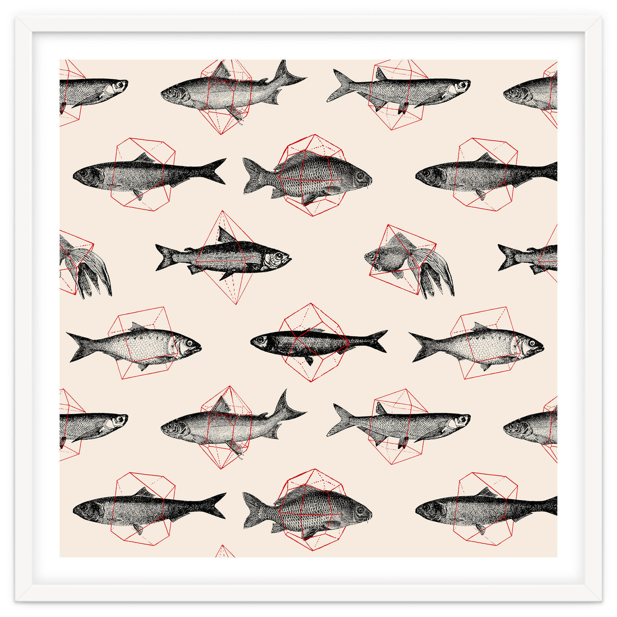 Fish In Geometrics