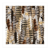Owl Feathers (Print Only) thumbnail