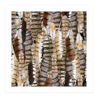 Owl Feathers (Print Only)