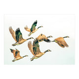 Fly Away Ii (Print Only) thumbnail
