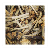 Driftwood (Print Only) thumbnail