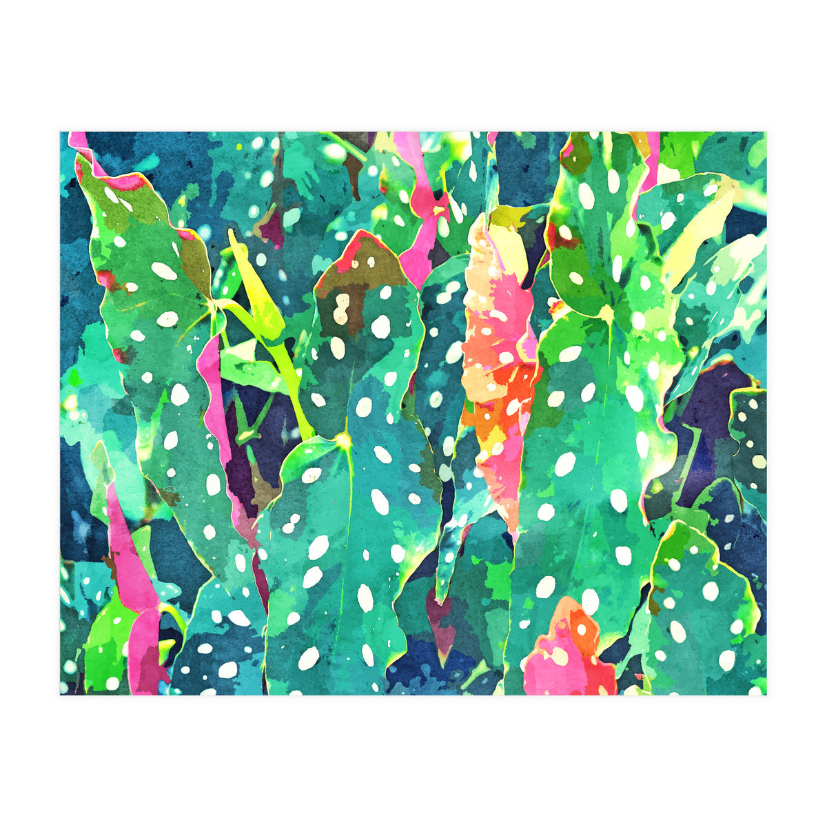 The Polka Dots Plant (Print Only)