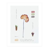 Botanical Notes (Print Only) thumbnail