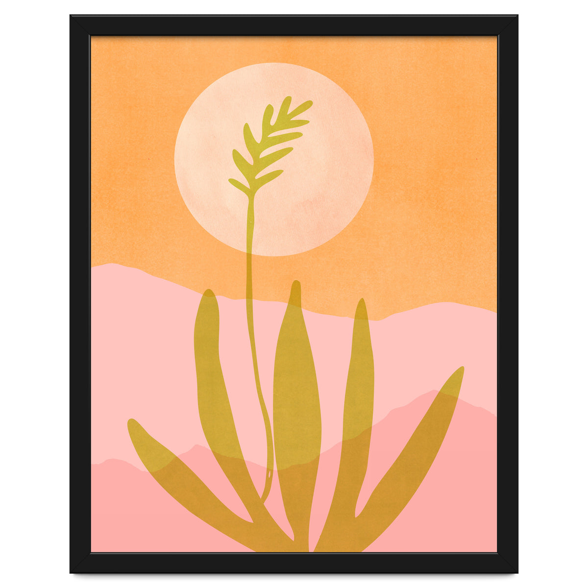 Desert Moon With Agave