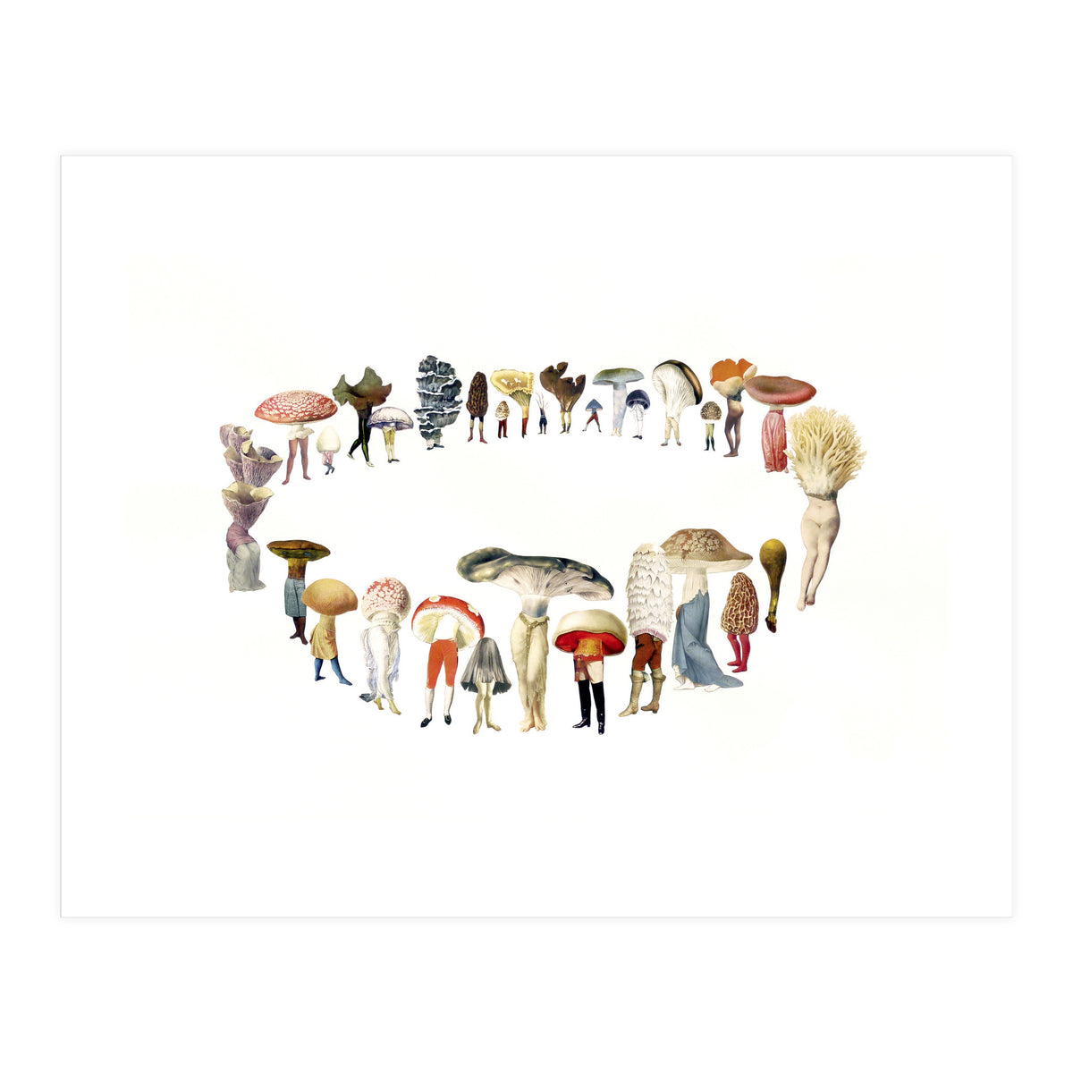 Fairy Ring (Print Only)