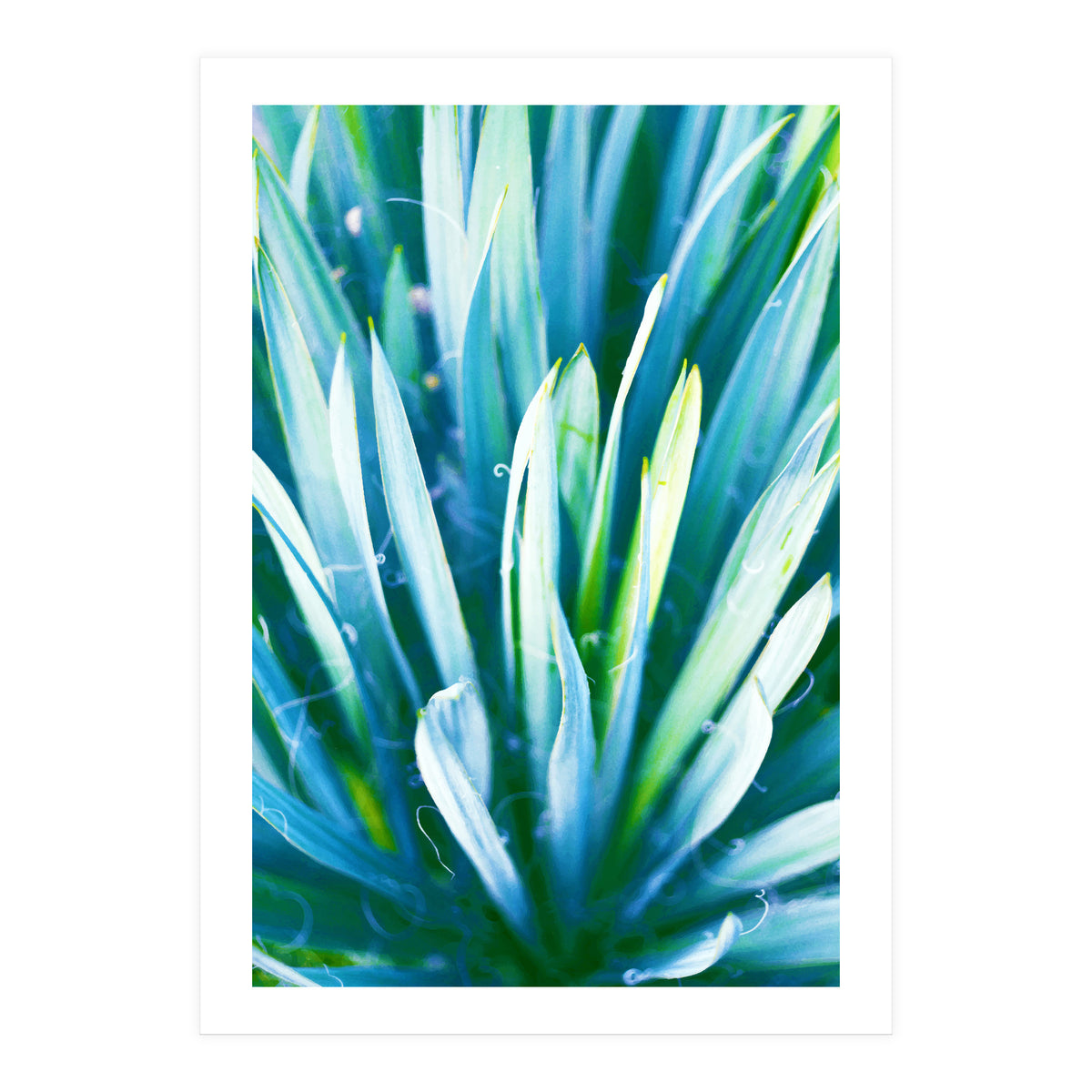 Heart Of Nature (Print Only)