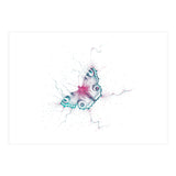 Peacock Butterfly (Print Only) thumbnail