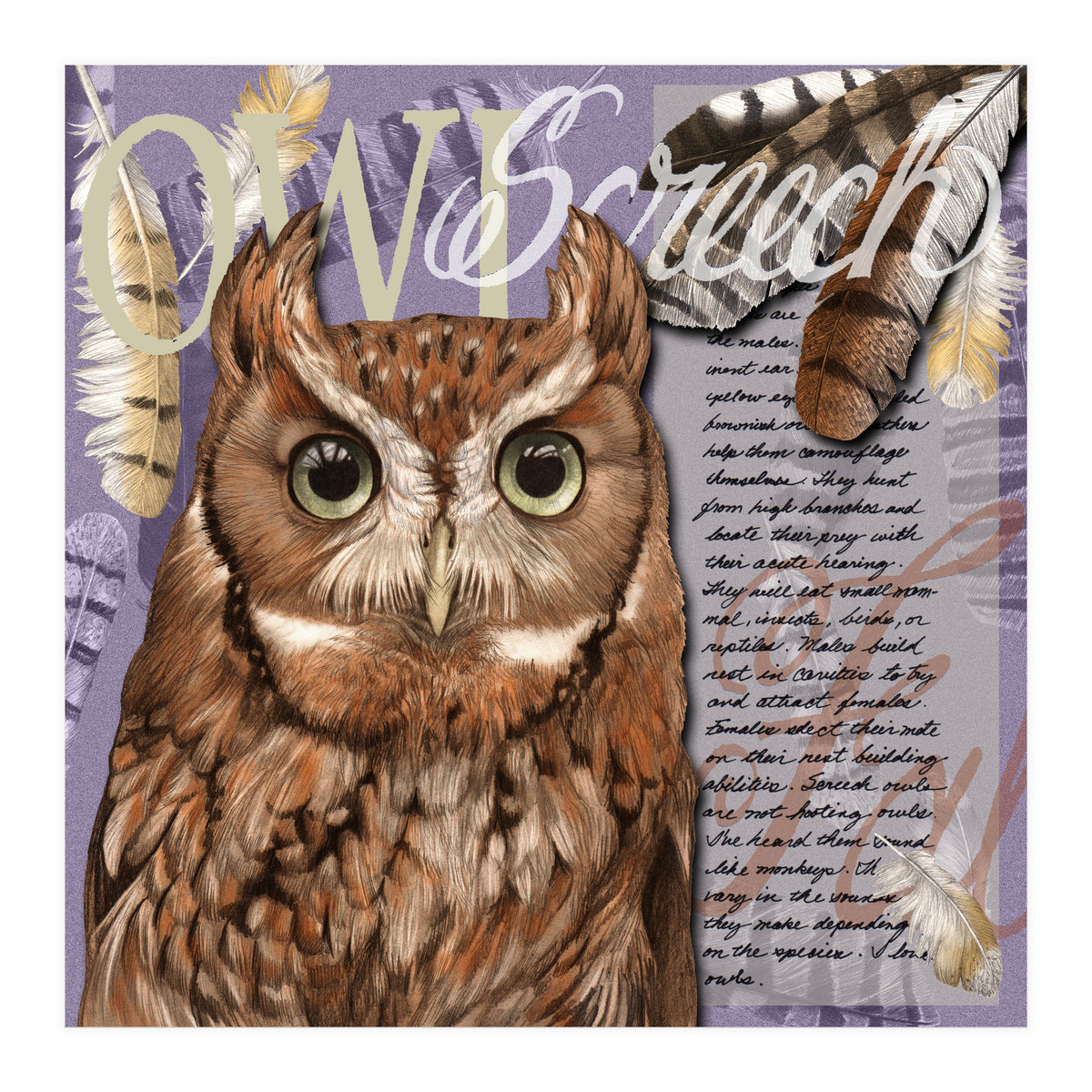 Screech Owl (Print Only)