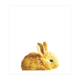 Bunny Portrait (Print Only) thumbnail