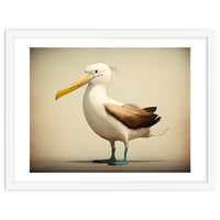 Albatross Illustration