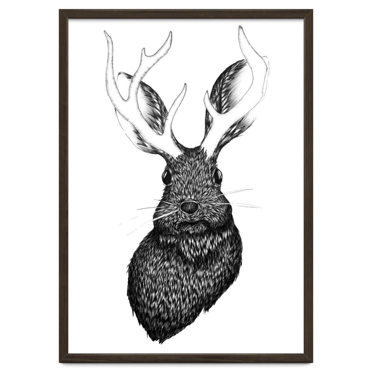 Jackalope