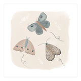 Moths in the moonlight  (Print Only) thumbnail