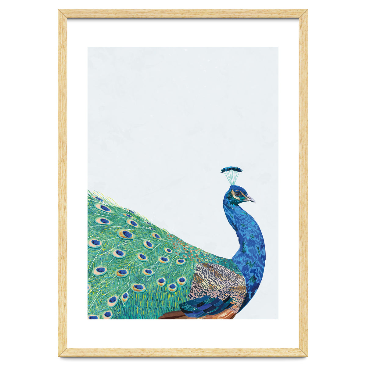 Peacock Portrait