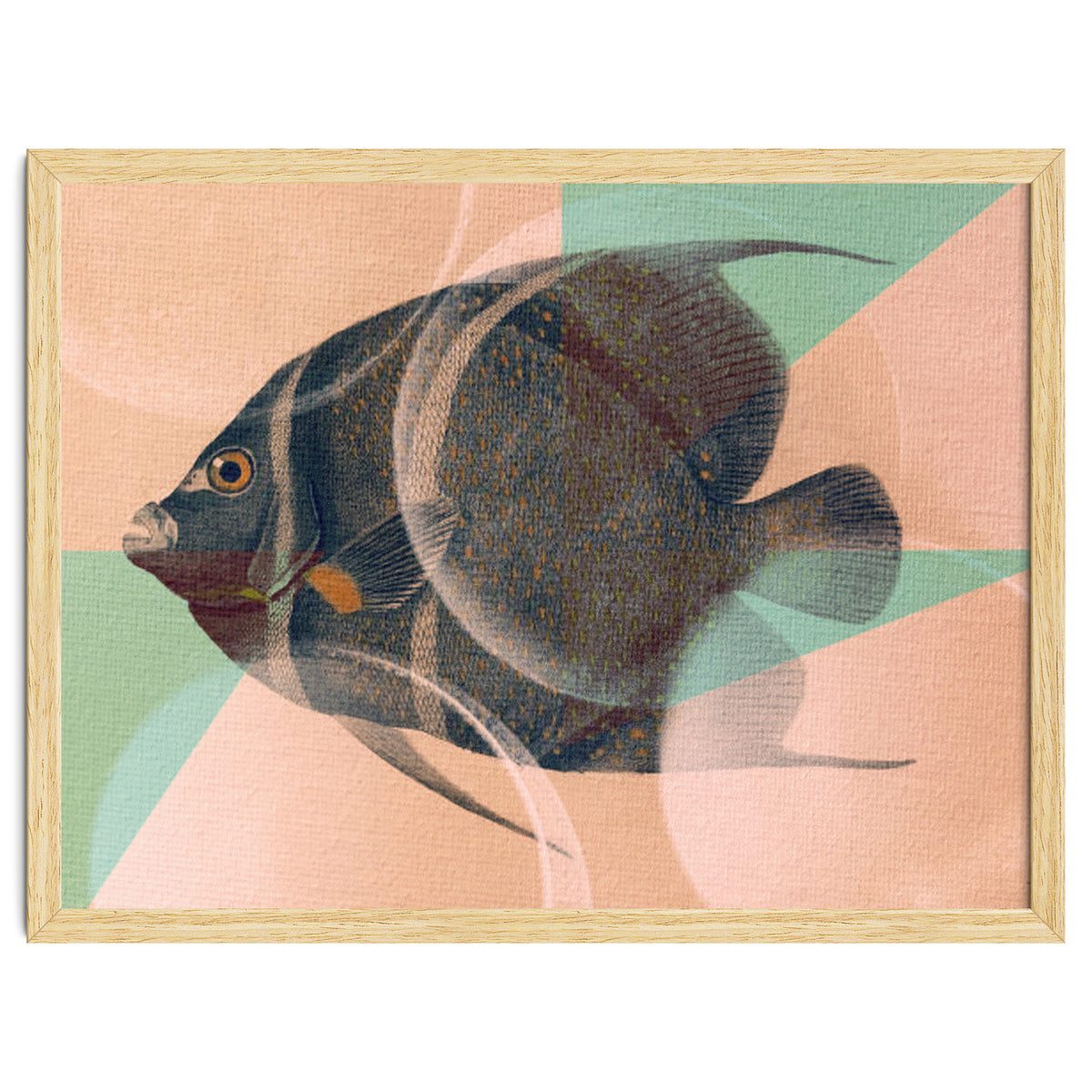 Fish Between Circles 2